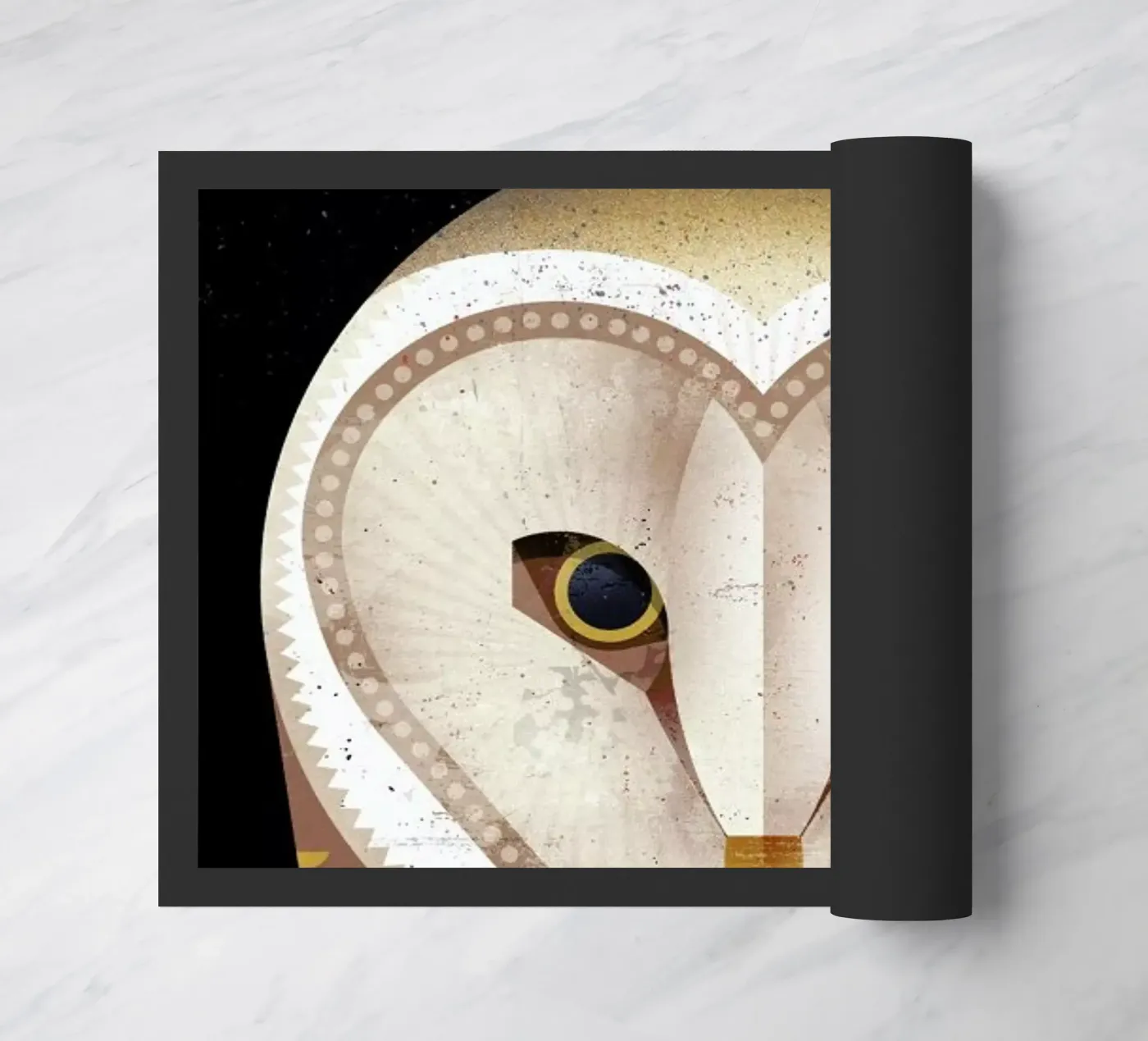 Barn Owl zerbino da Dieter Braun