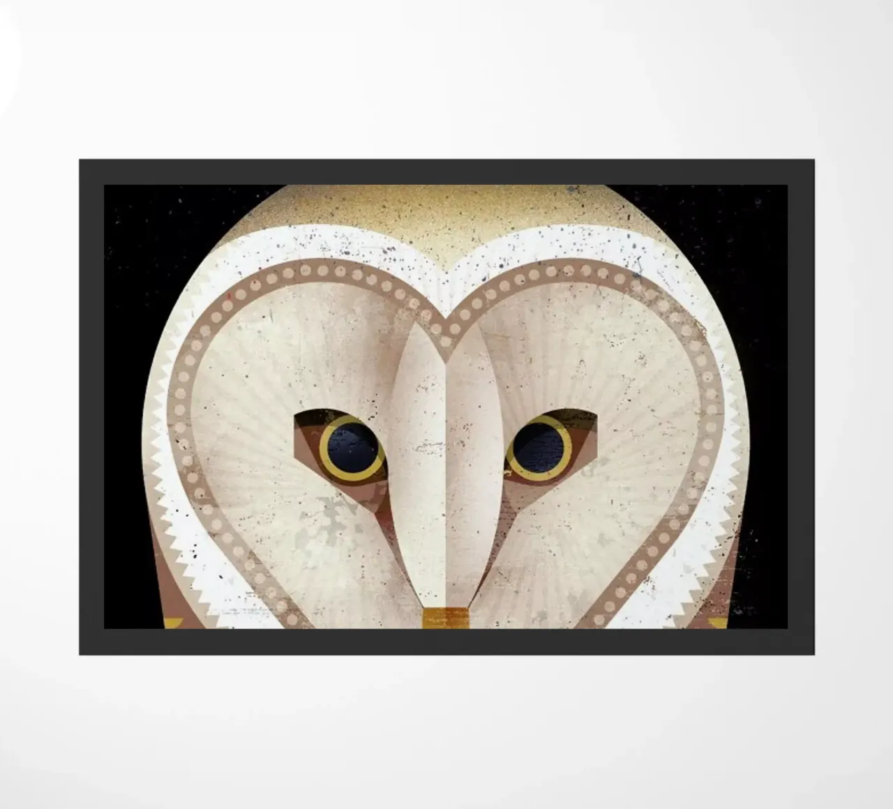 Barn Owl zerbino da Dieter Braun