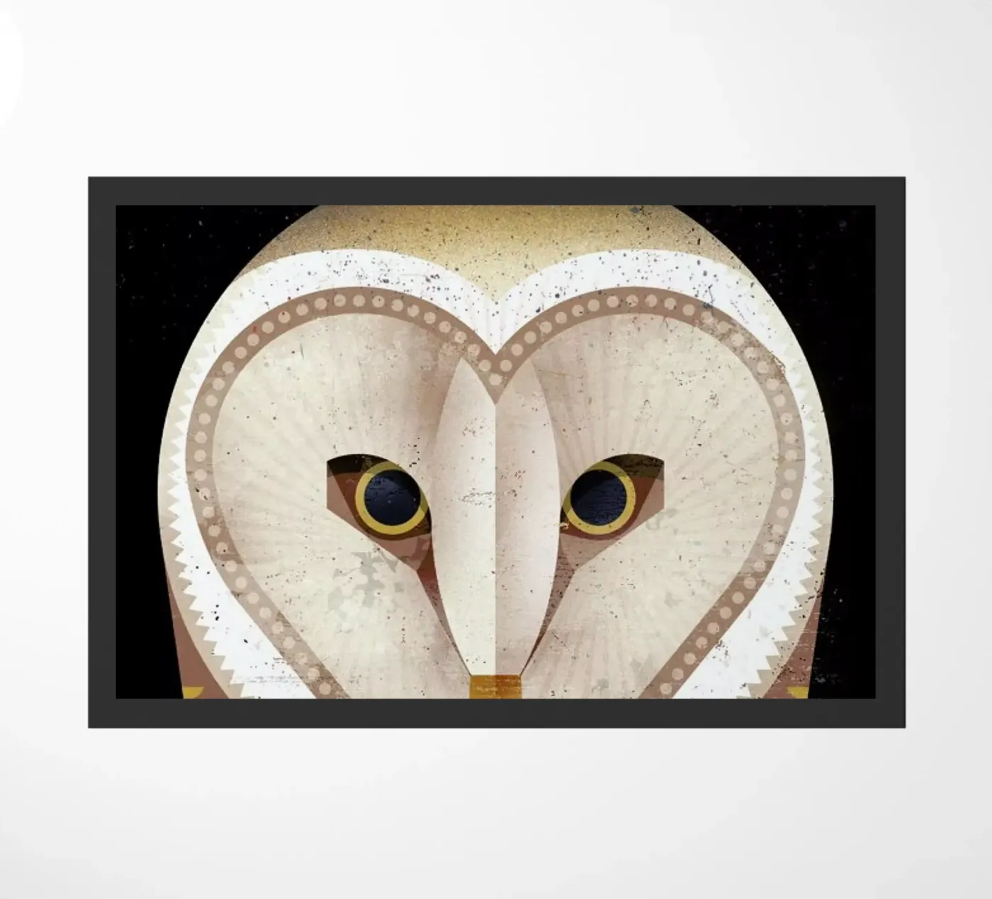 Barn Owl zerbino da Dieter Braun