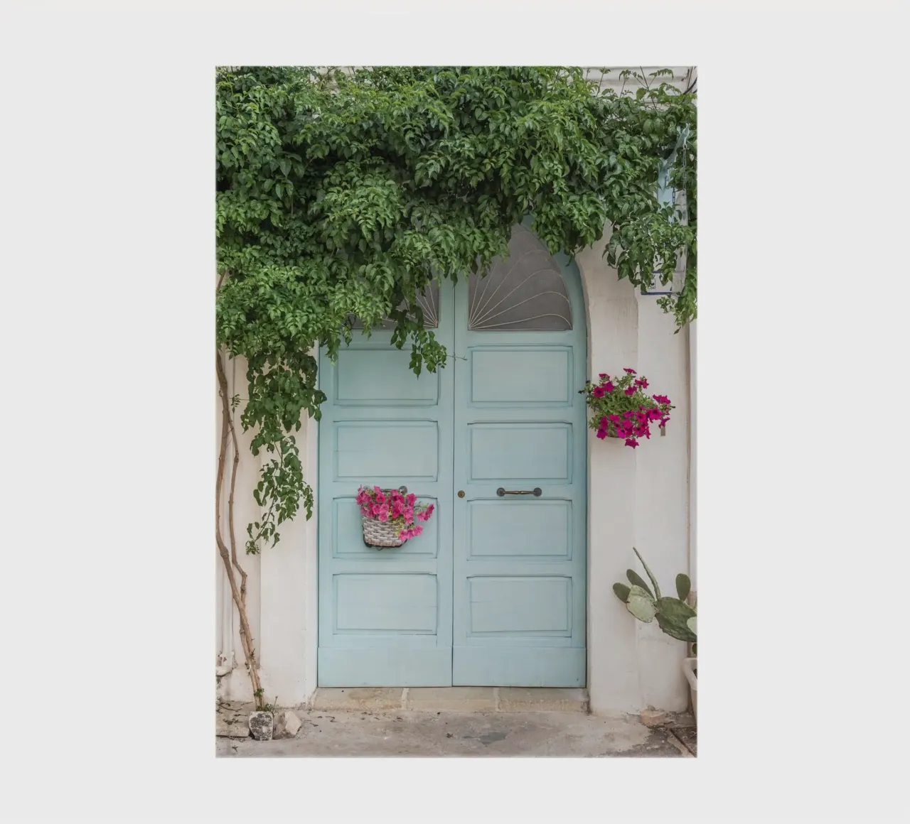 Blue botanical door in Italy notebook by photolovers