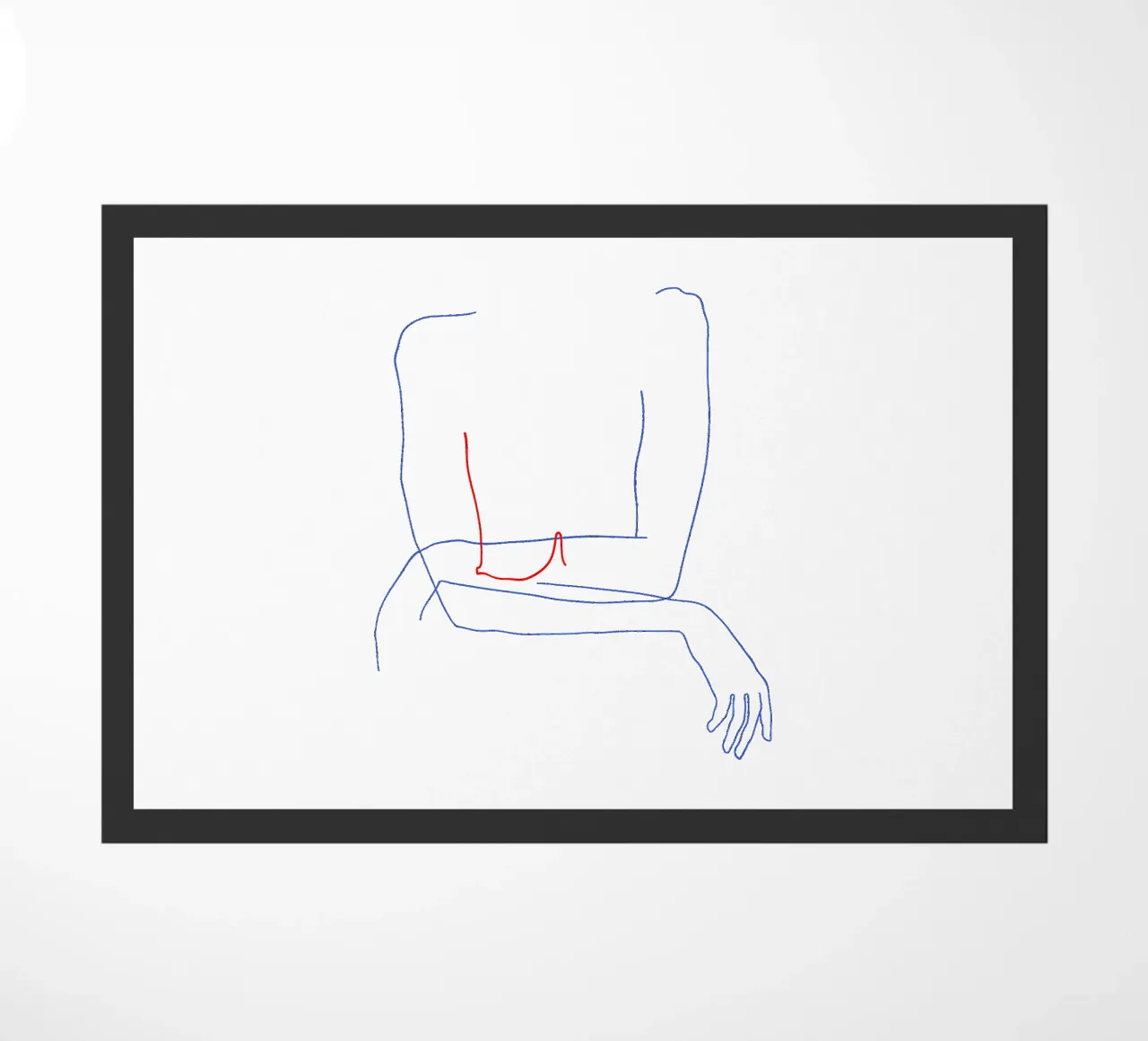 Red zerbino da Ninhol