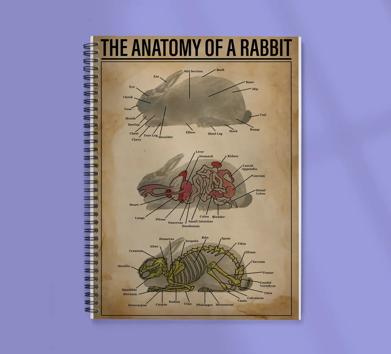 The Anatomy Of A Rabbit Poster spiral notebook by Maritiknowled