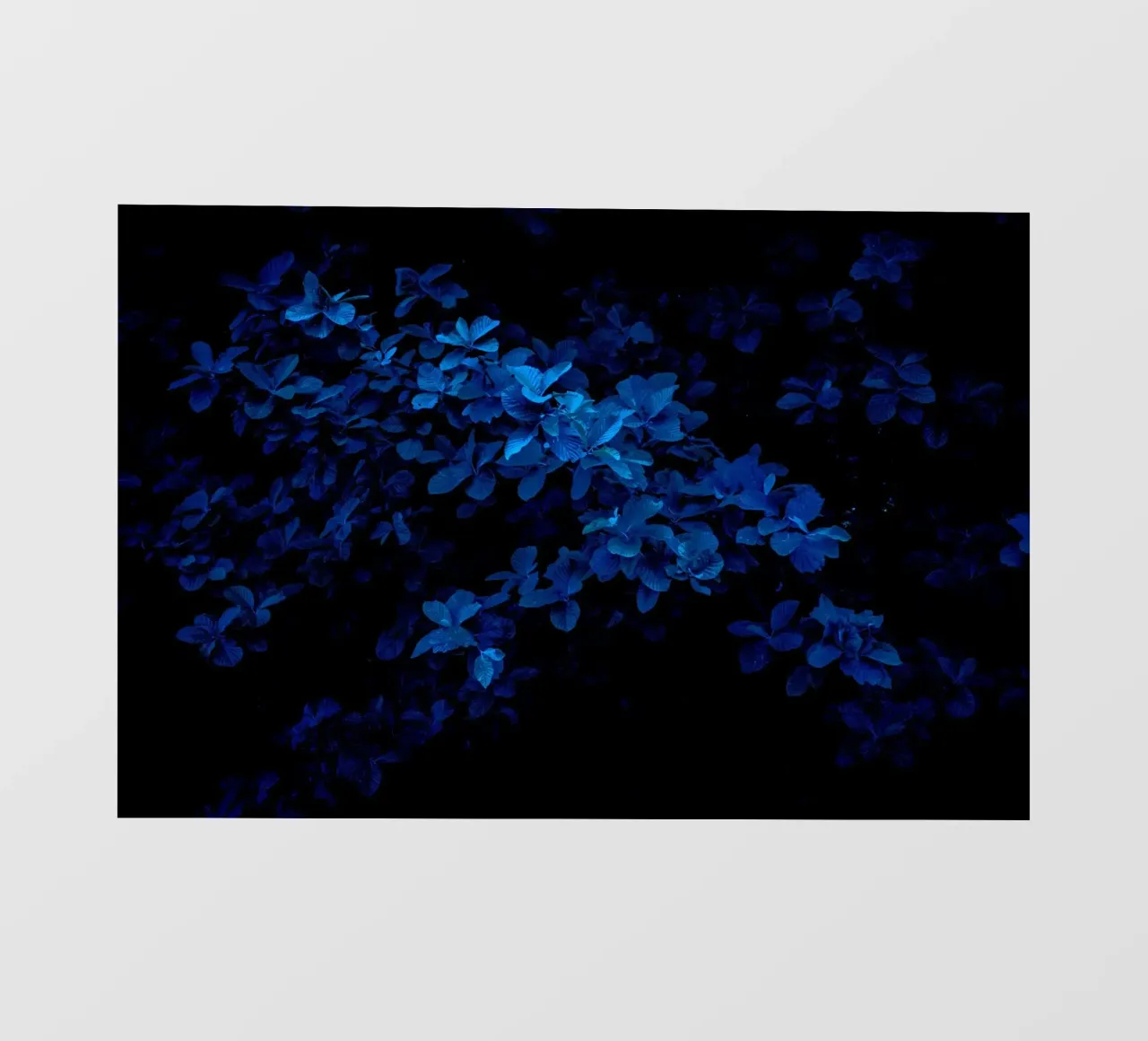 monocromatico telo in pvc da Bleu