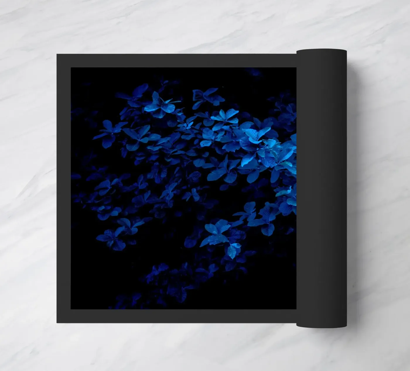 monocromatico zerbino da Bleu