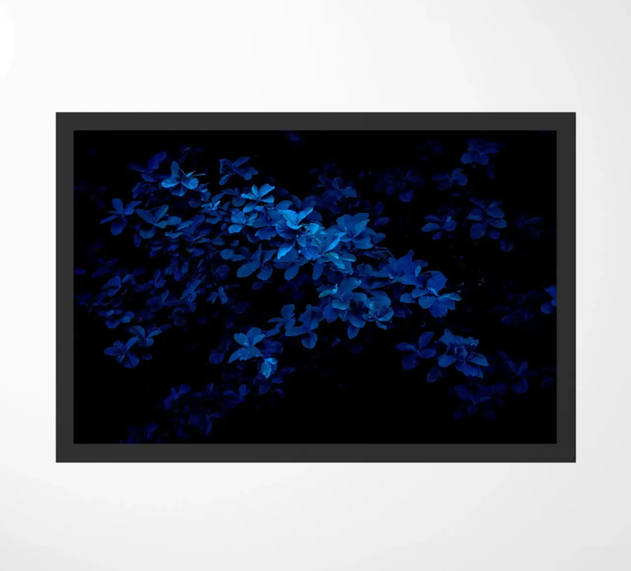 monocromatico zerbino da Bleu