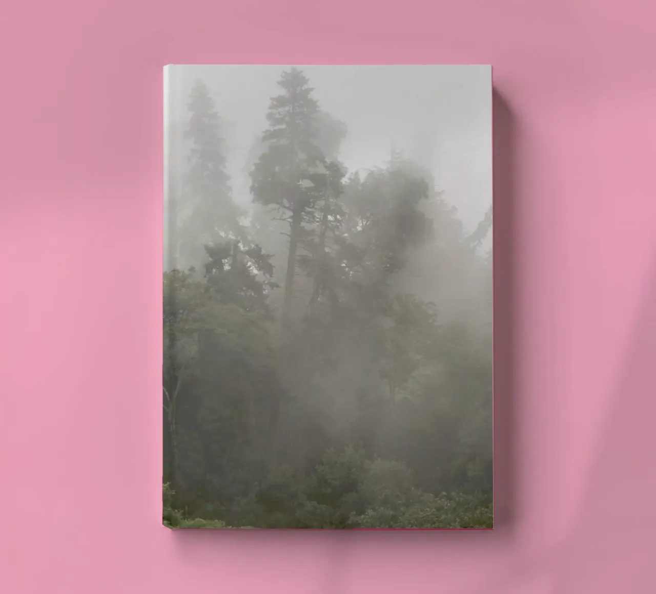 Trees - Misty Moody Forest notebook by Ingrid Beddoes