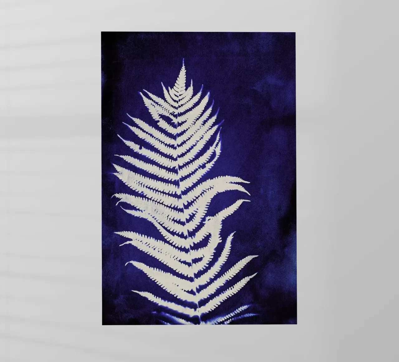 Fern On Blue pellicola backlit da Klaus with K