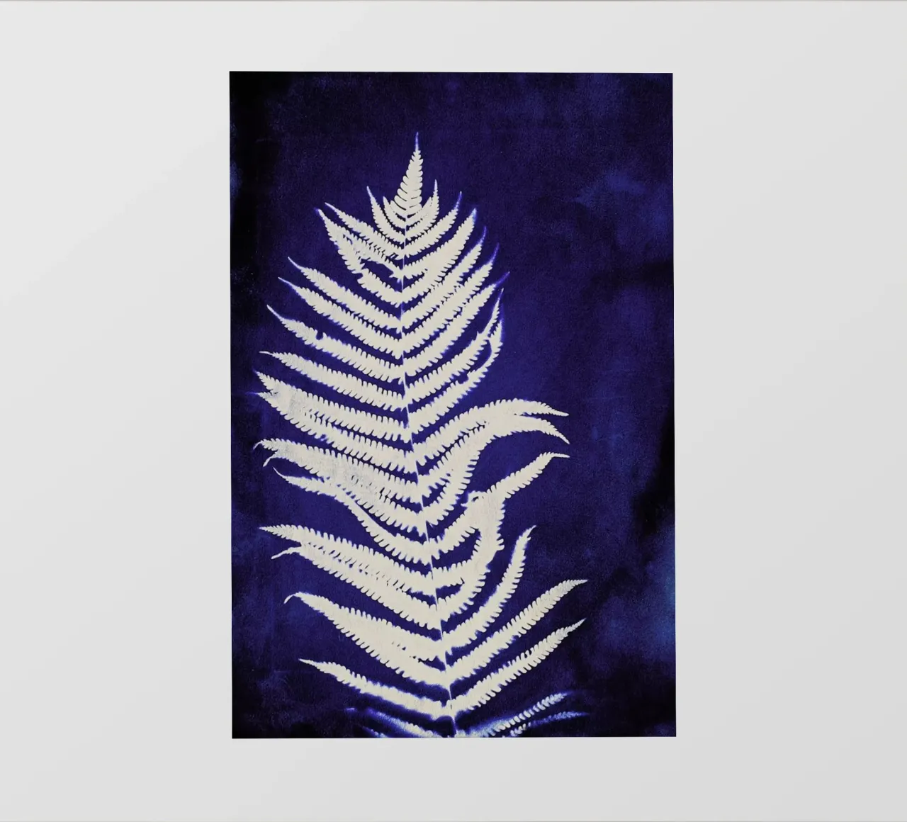 Fern On Blue pellicola backlit da Klaus with K