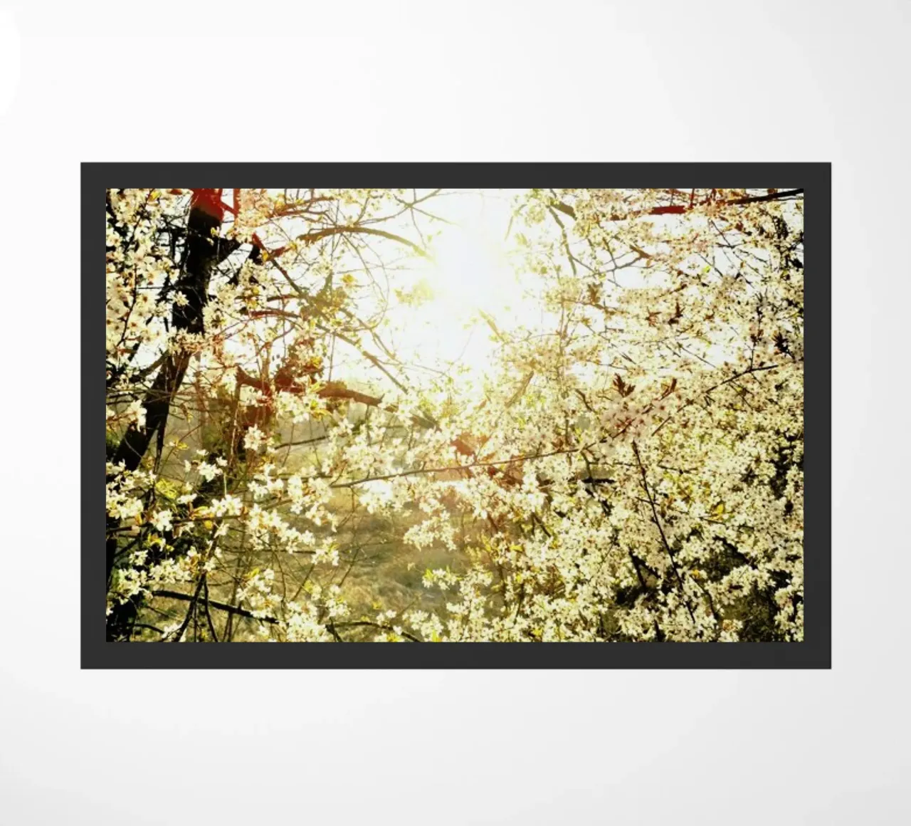 Hope zerbino da Angelo Cerantola