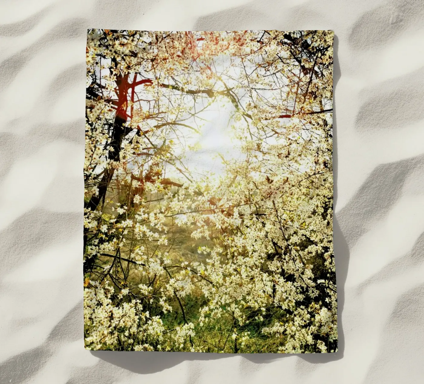 Hope telo mare da Angelo Cerantola