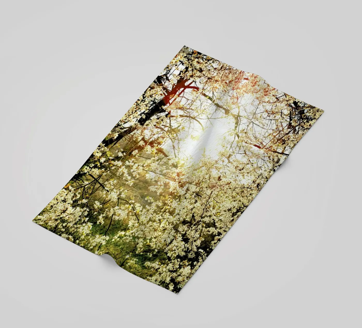 Hope telo mare da Angelo Cerantola