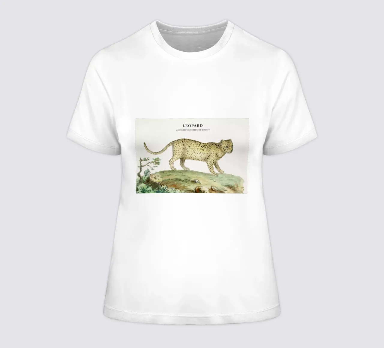Anselmus Boëtius de Boodt - Leopard Frauen T-Shirt von Vintage by JUNIQE