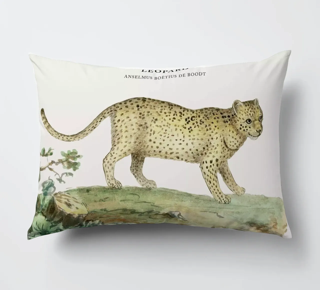 Anselmus Boëtius de Boodt - Leopard Kissen von Vintage by JUNIQE