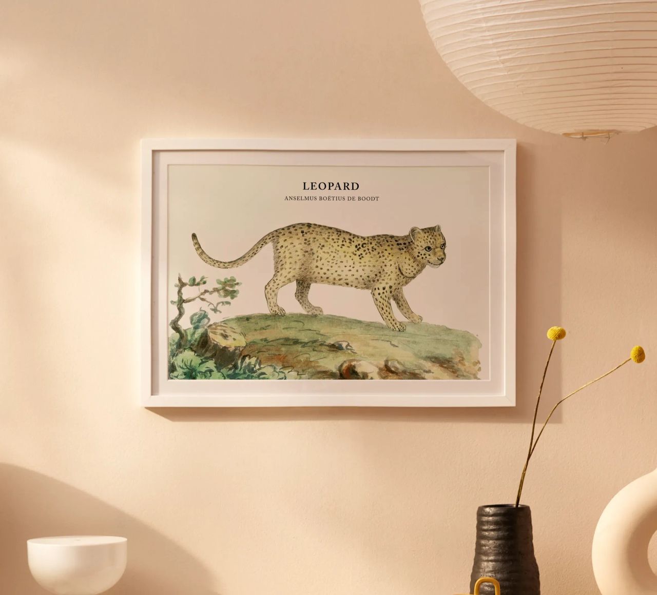 Anselmus Boëtius de Boodt - Leopard Poster von Vintage by JUNIQE