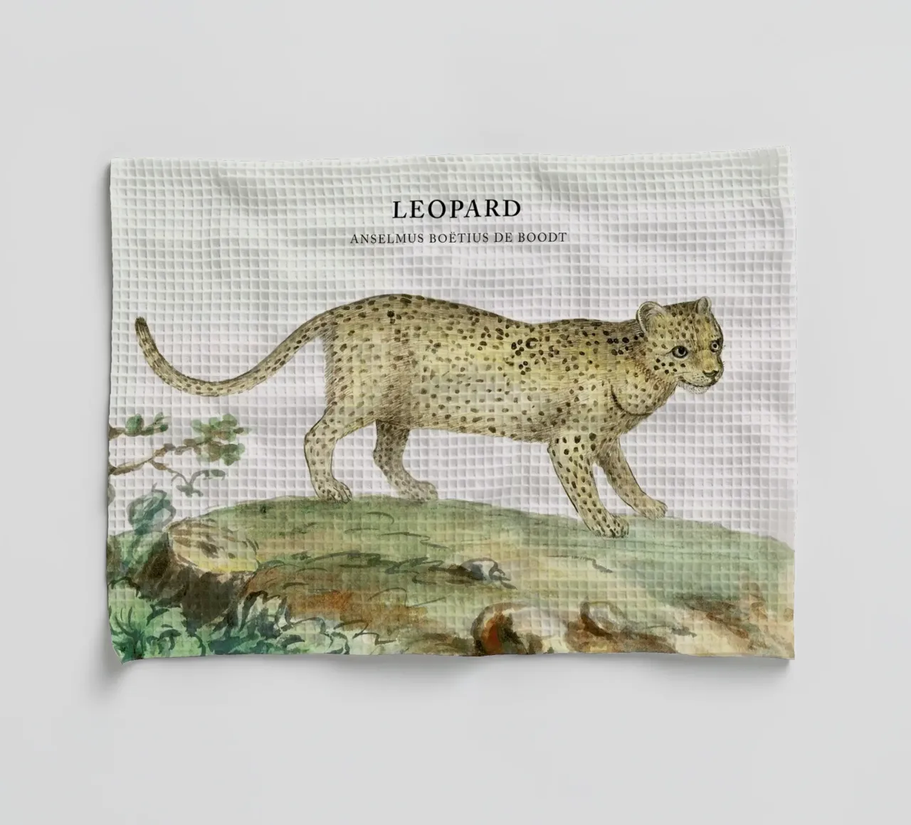 Anselmus Boëtius de Boodt - Leopard torchon de Vintage by JUNIQE
