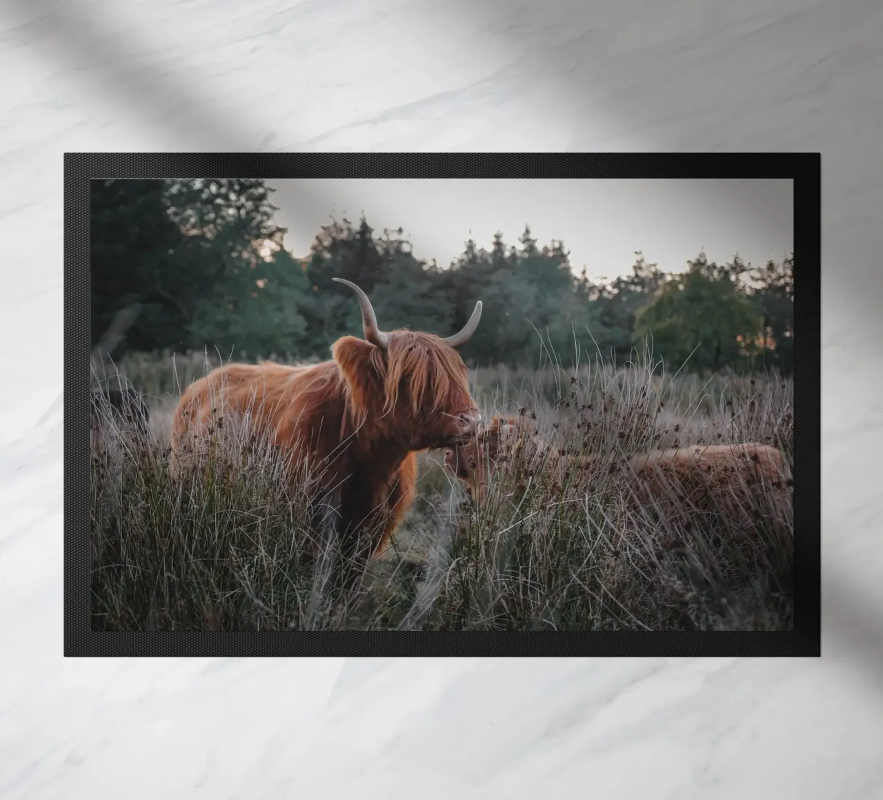 Mutterliebe ❤️ Hochlandrind - Highland Cow zerbino da Sibbershusum