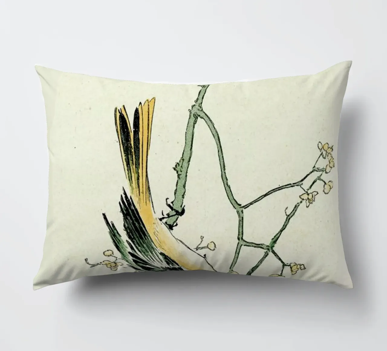 Ruticilla Aurorea cuscino da Vintage by JUNIQE