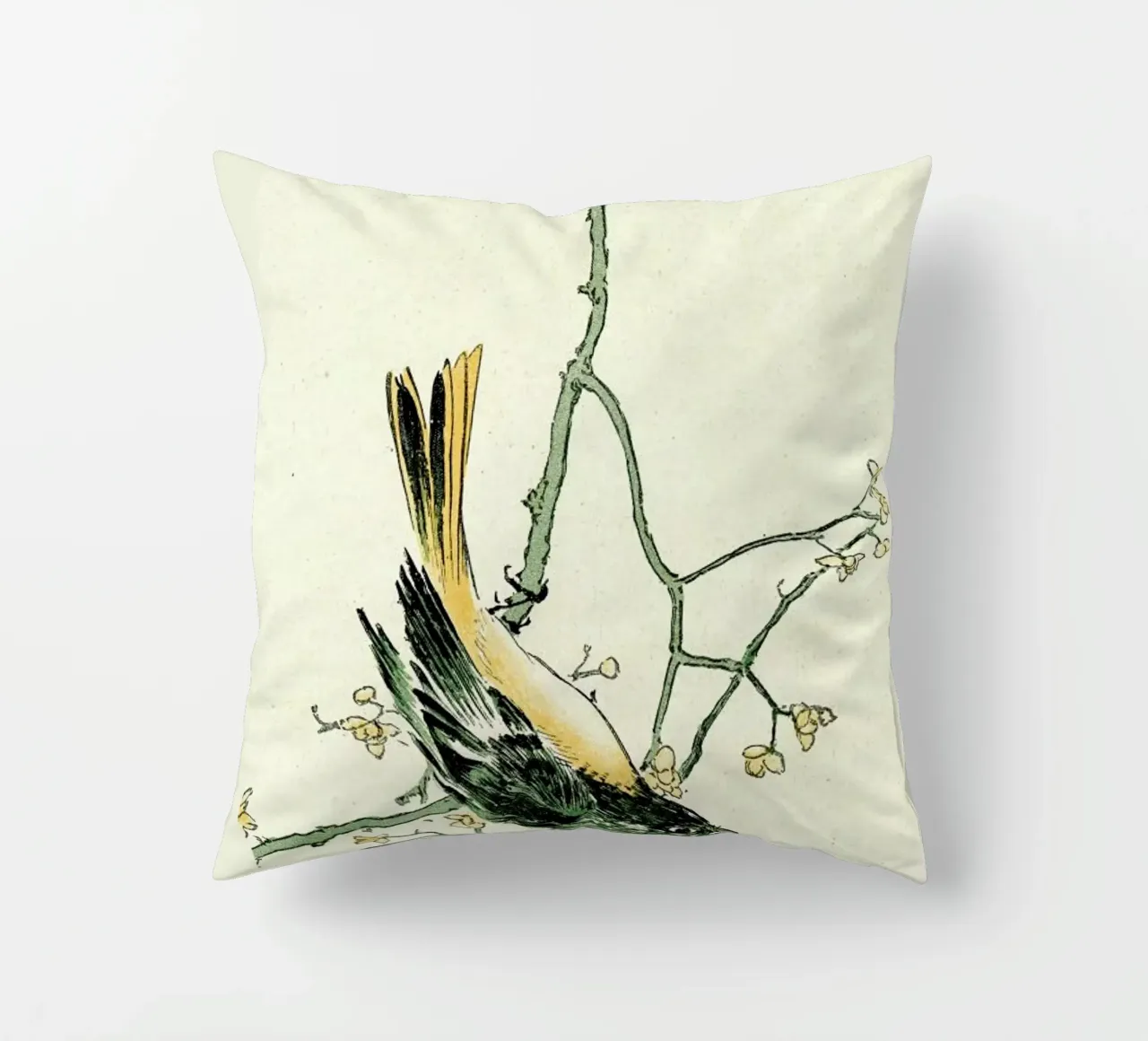 Ruticilla Aurorea cuscino da Vintage by JUNIQE