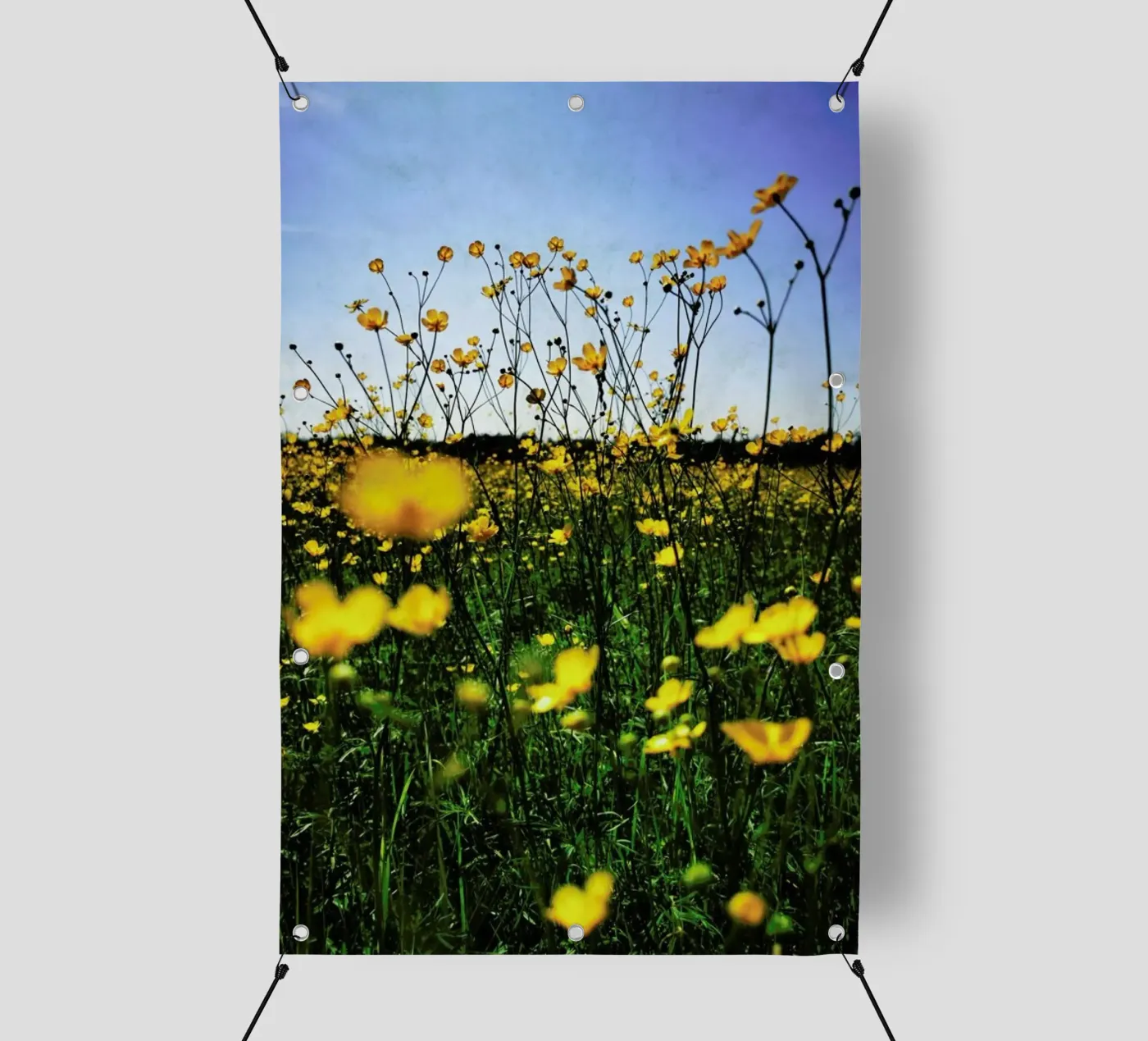 Optimism pvc-zeil van Angelo Cerantola