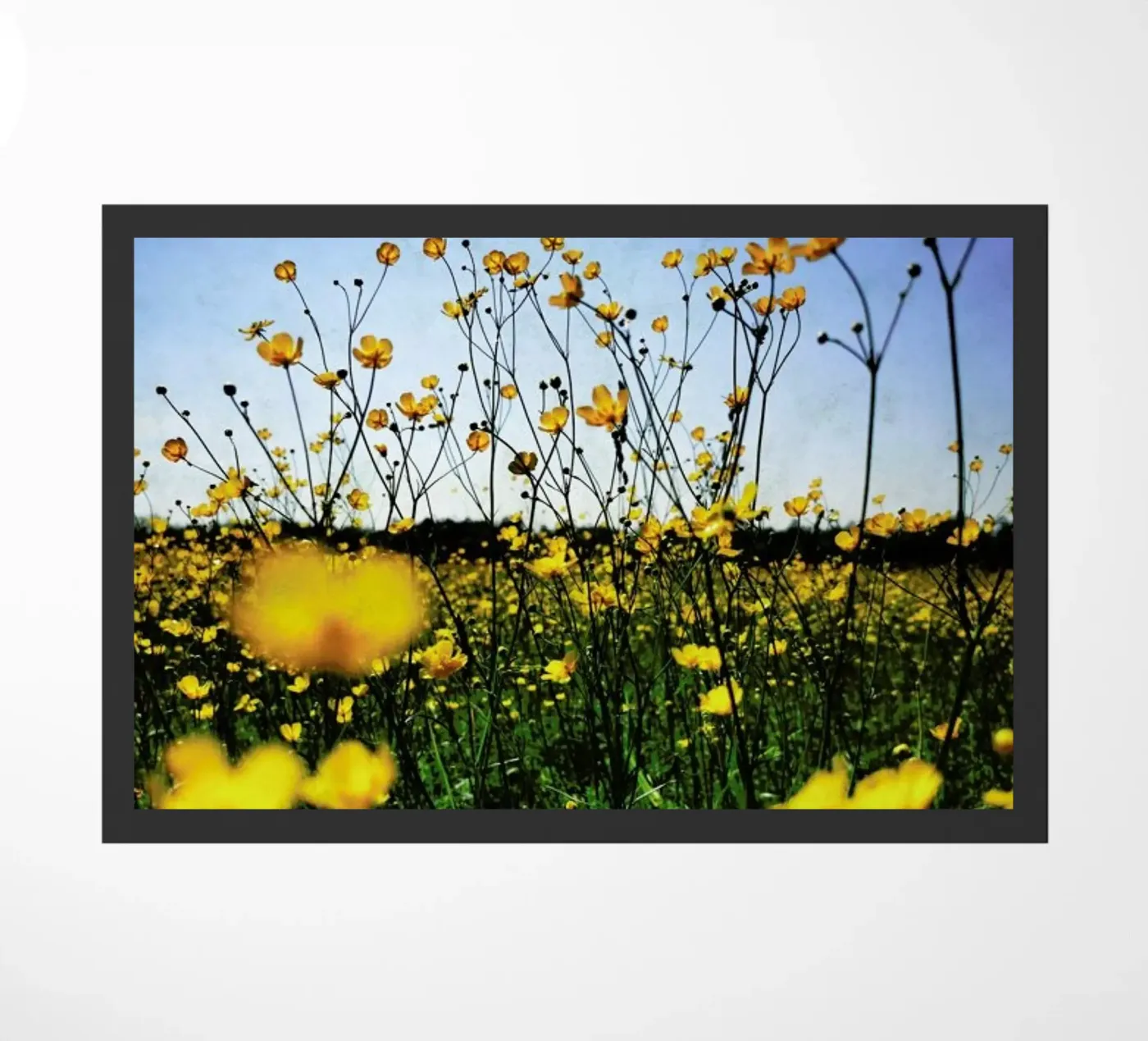 Optimism Fußmatte von Angelo Cerantola