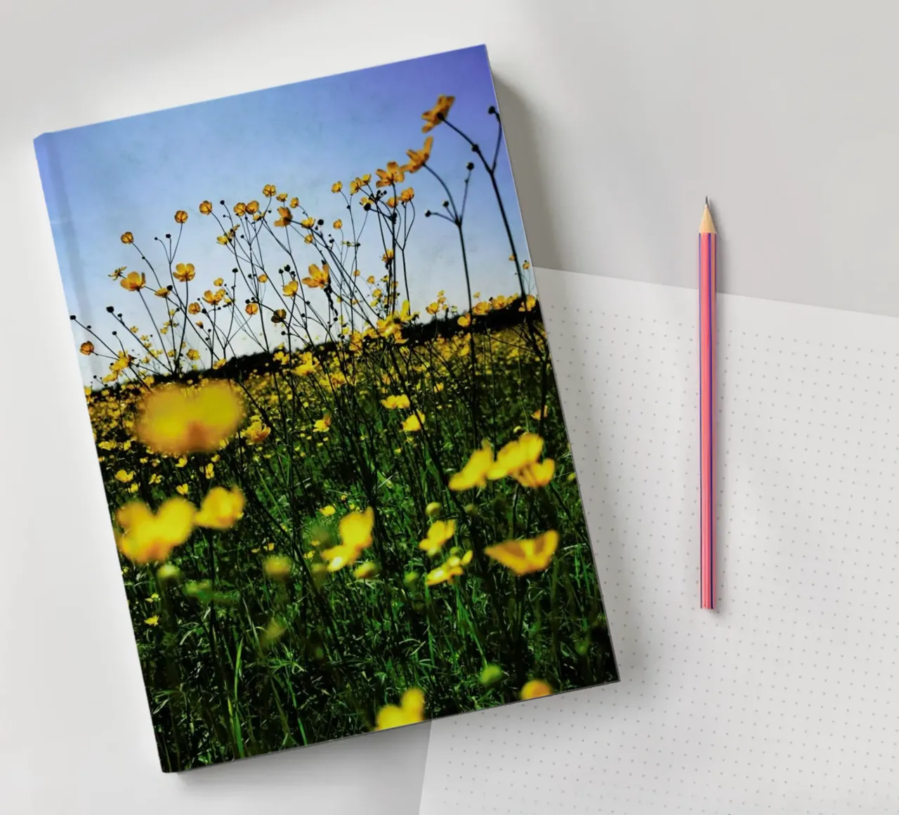 Optimism notebook by Angelo Cerantola