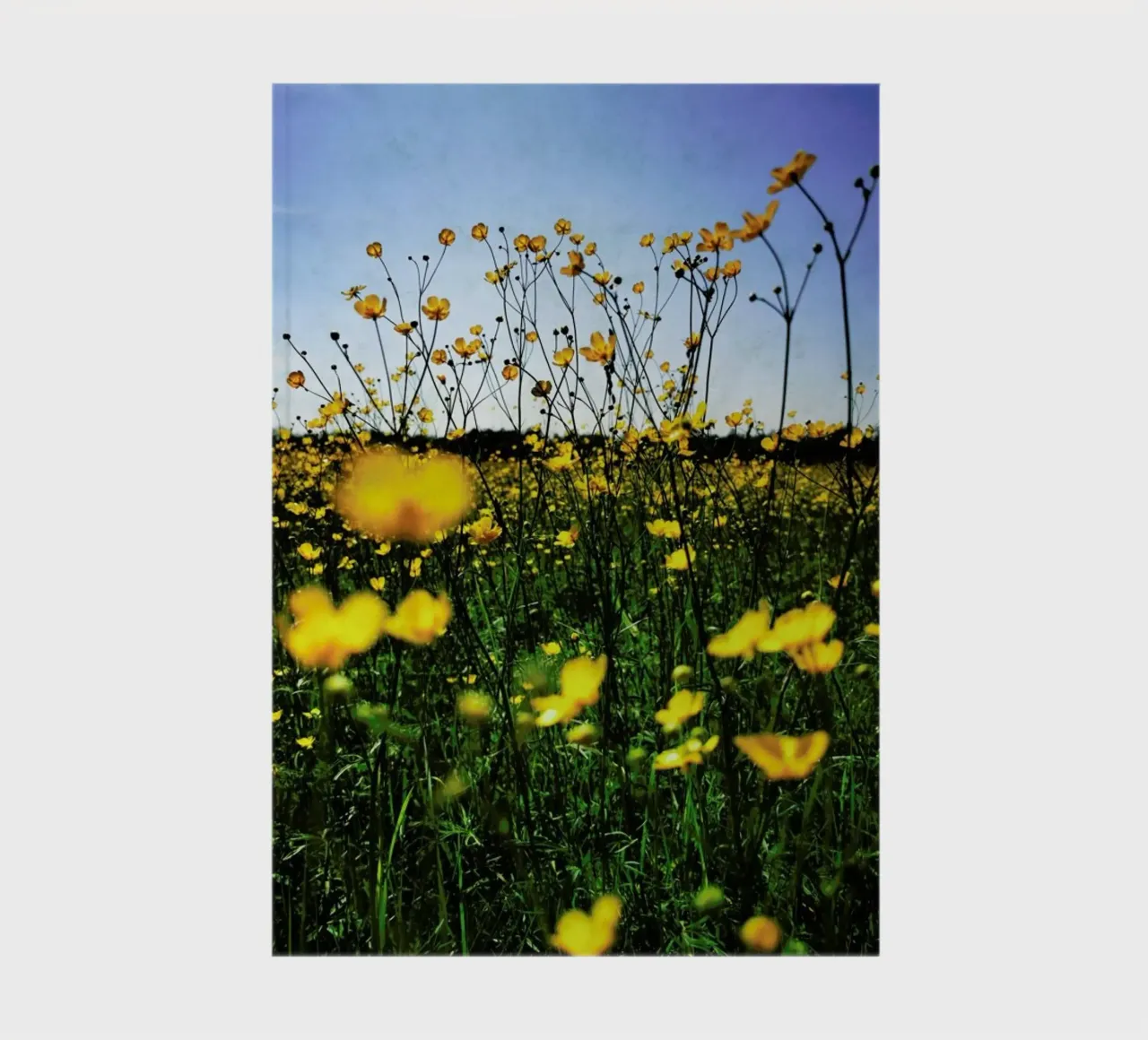 Optimism notebook by Angelo Cerantola