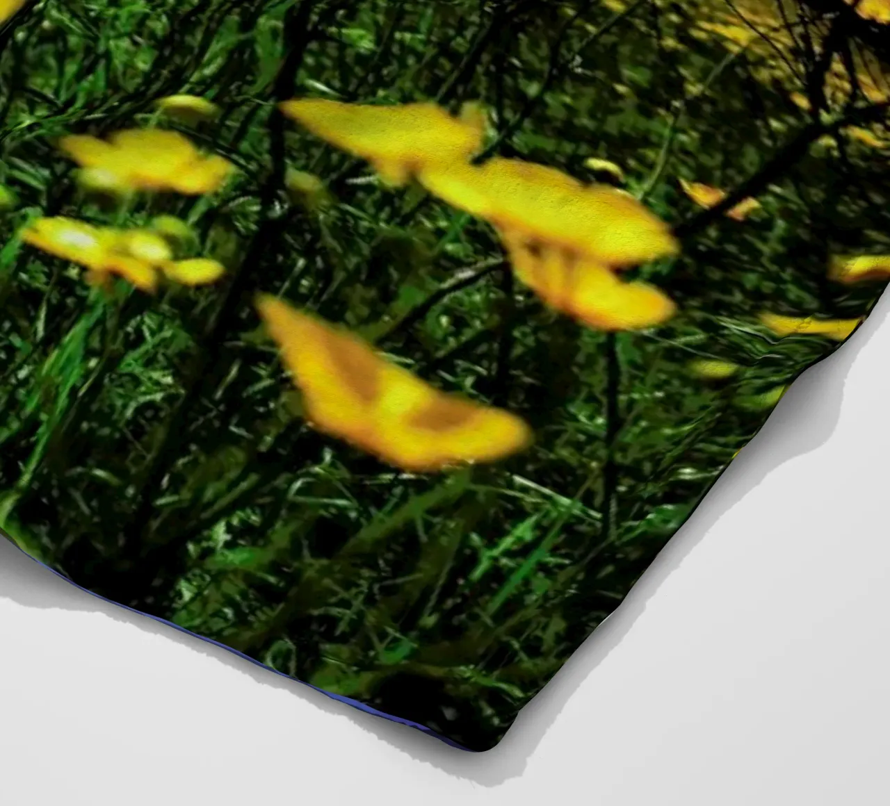 Optimism Fleecedecke von Angelo Cerantola