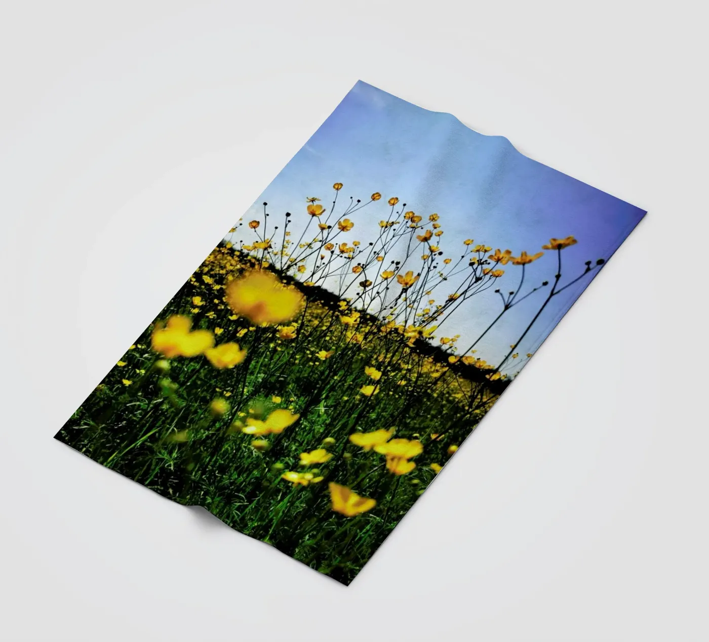 Optimism fleecedeken van Angelo Cerantola