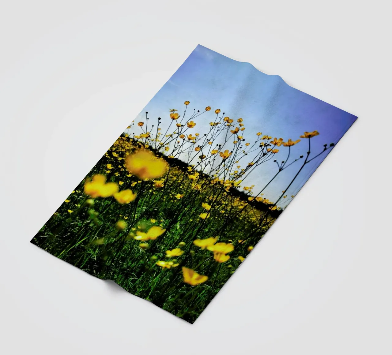 Optimism Fleecedecke von Angelo Cerantola