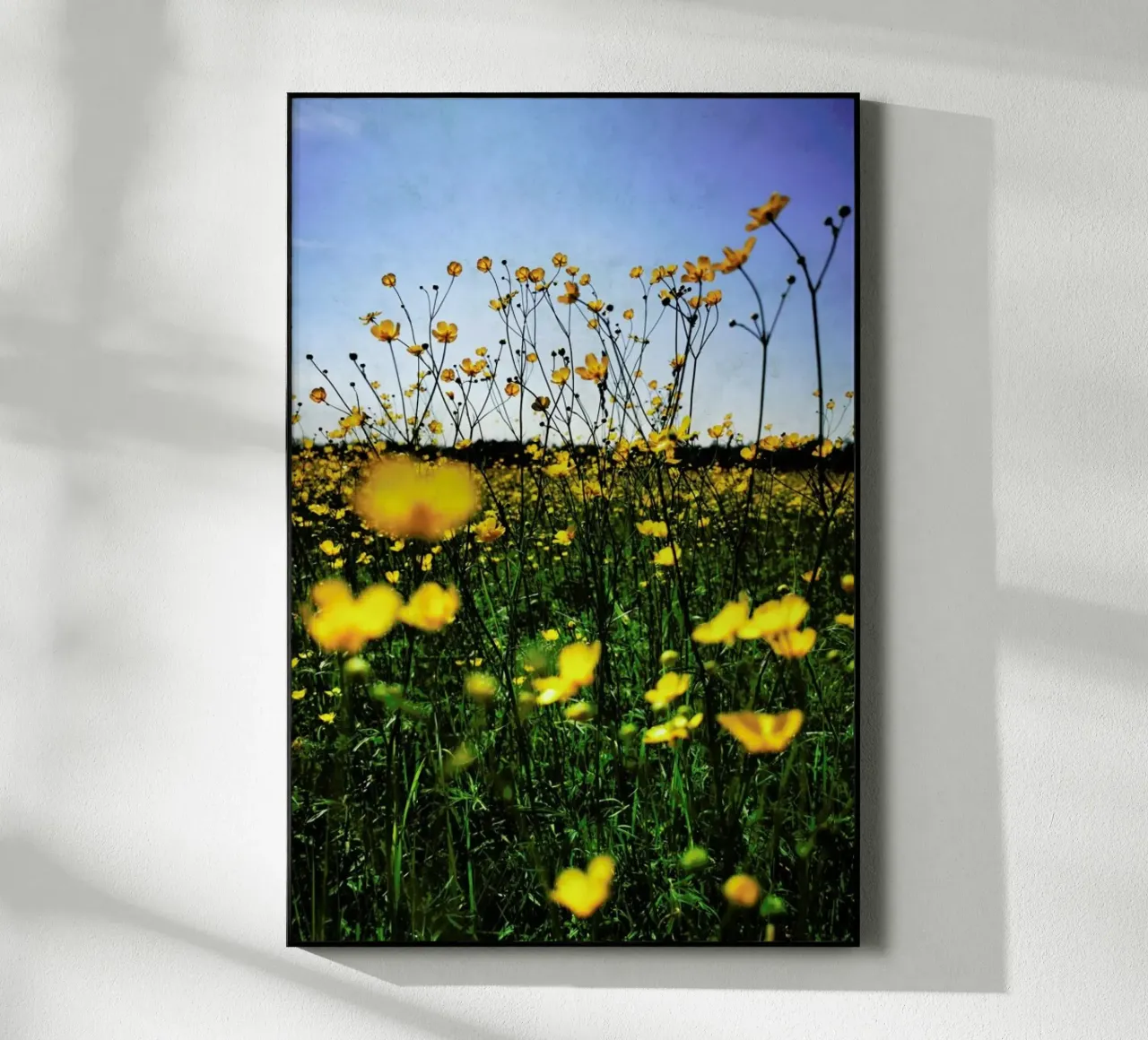 Optimism plexiglass da Angelo Cerantola