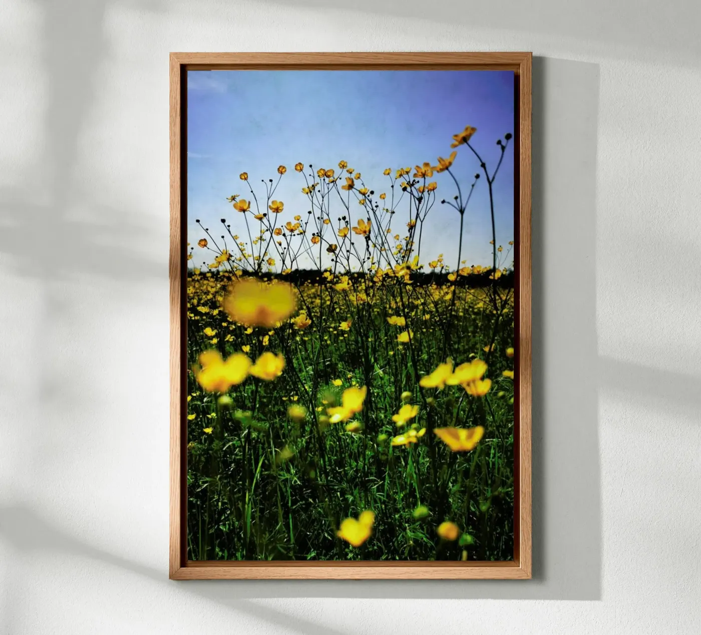 Optimism forex plate by Angelo Cerantola