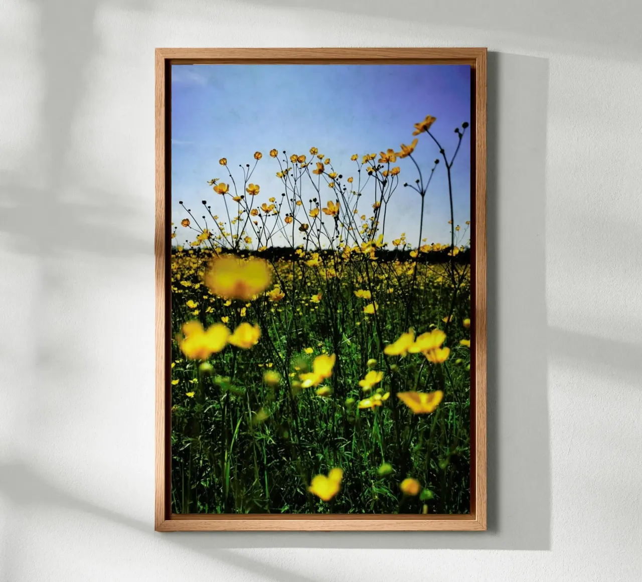 Optimism pannello forex da Angelo Cerantola