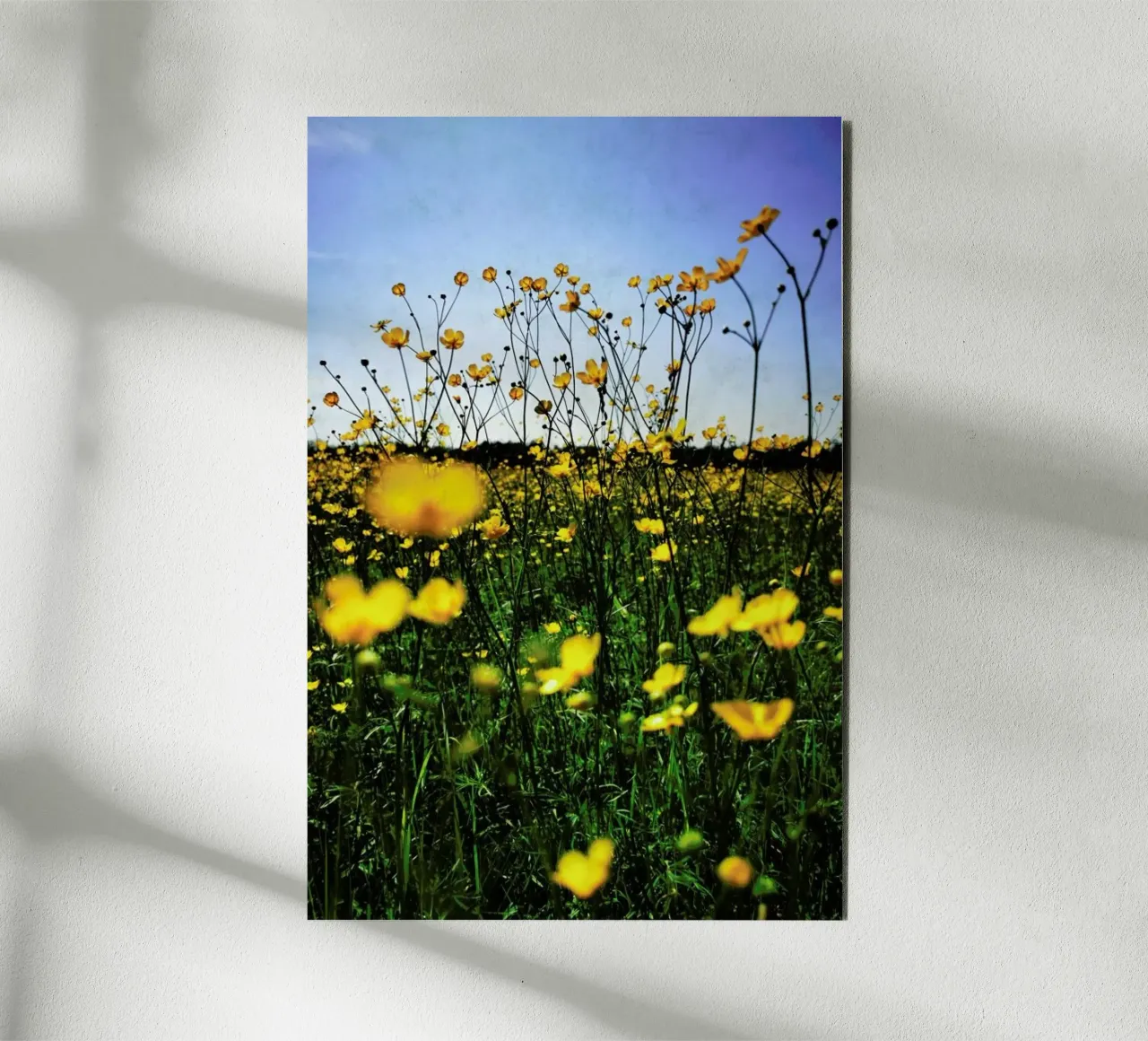 Optimism pannello forex da Angelo Cerantola