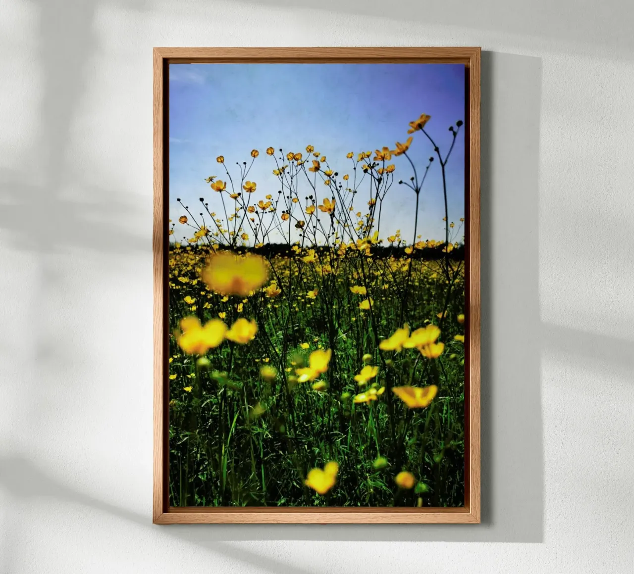 Optimism tela da Angelo Cerantola