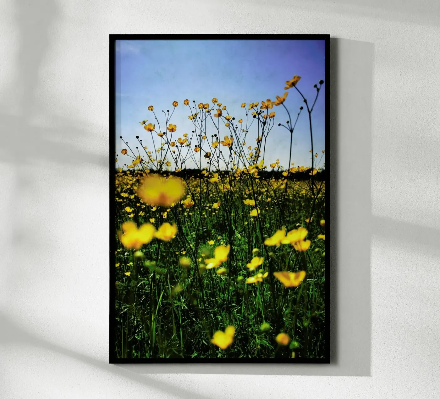 Optimism Poster von Angelo Cerantola