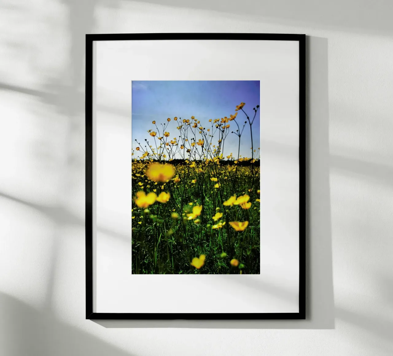 Optimism poster de Angelo Cerantola