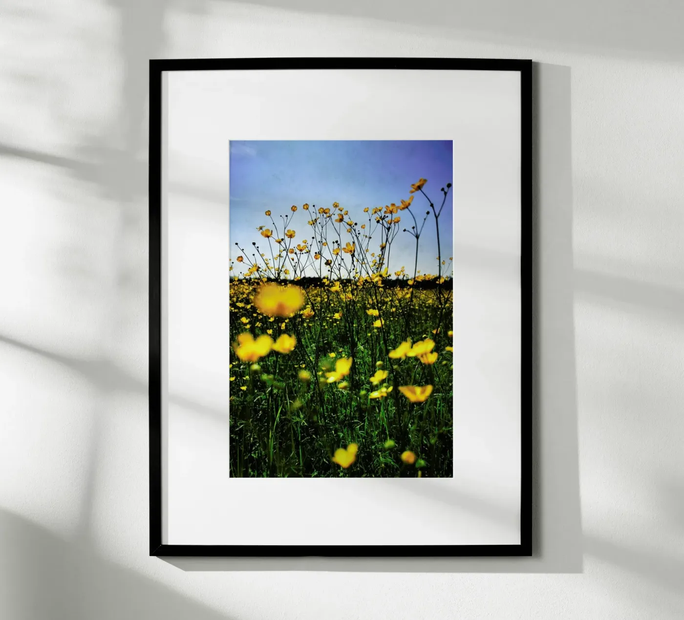 Optimism poster van Angelo Cerantola