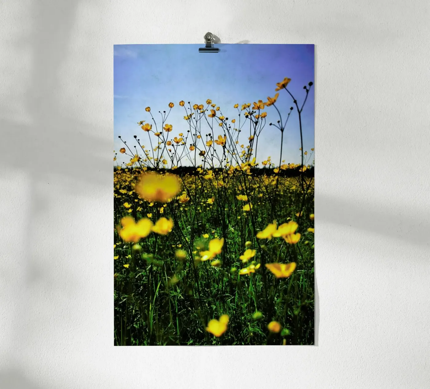 Optimism Poster von Angelo Cerantola