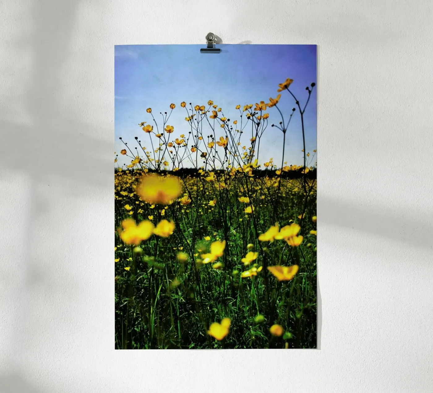 Optimism poster van Angelo Cerantola