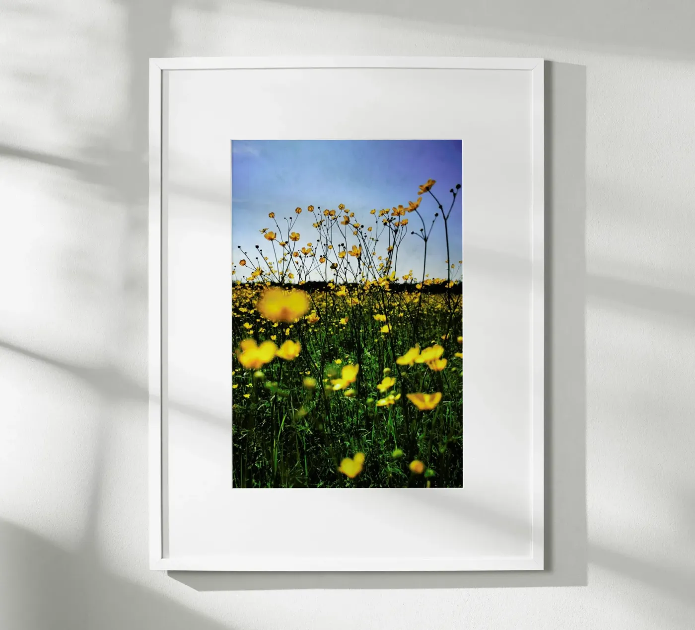 Optimism Poster von Angelo Cerantola