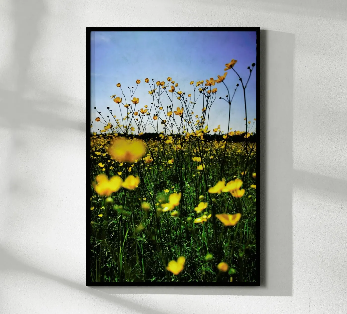 Optimism poster van Angelo Cerantola