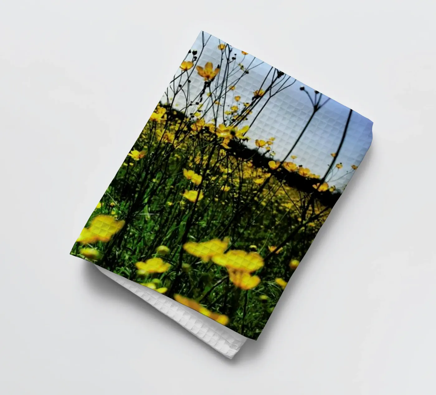 Optimism torchon de Angelo Cerantola