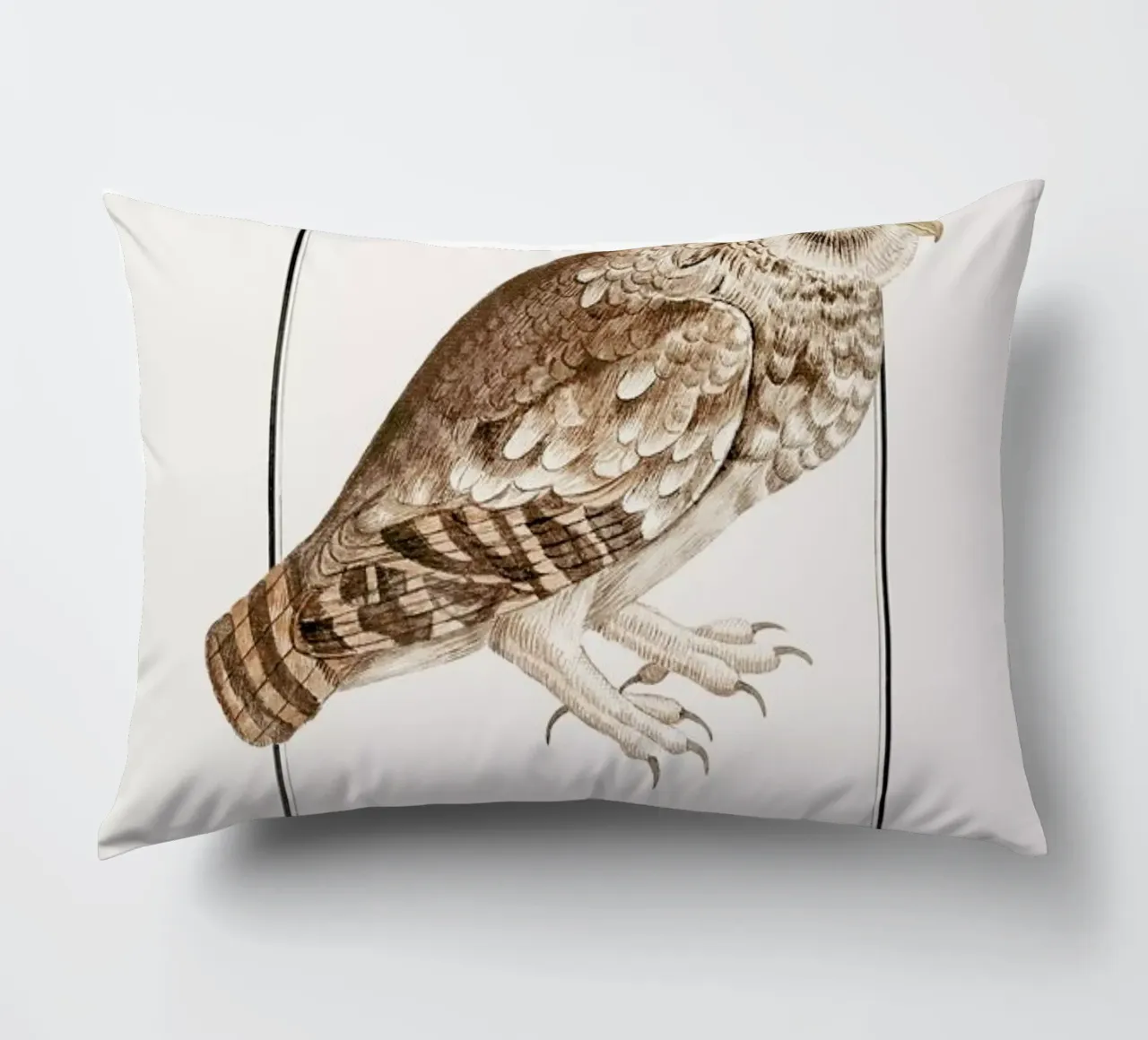 Anselmus Boëtius de Boodt - Little Owl cuscino da Vintage by JUNIQE