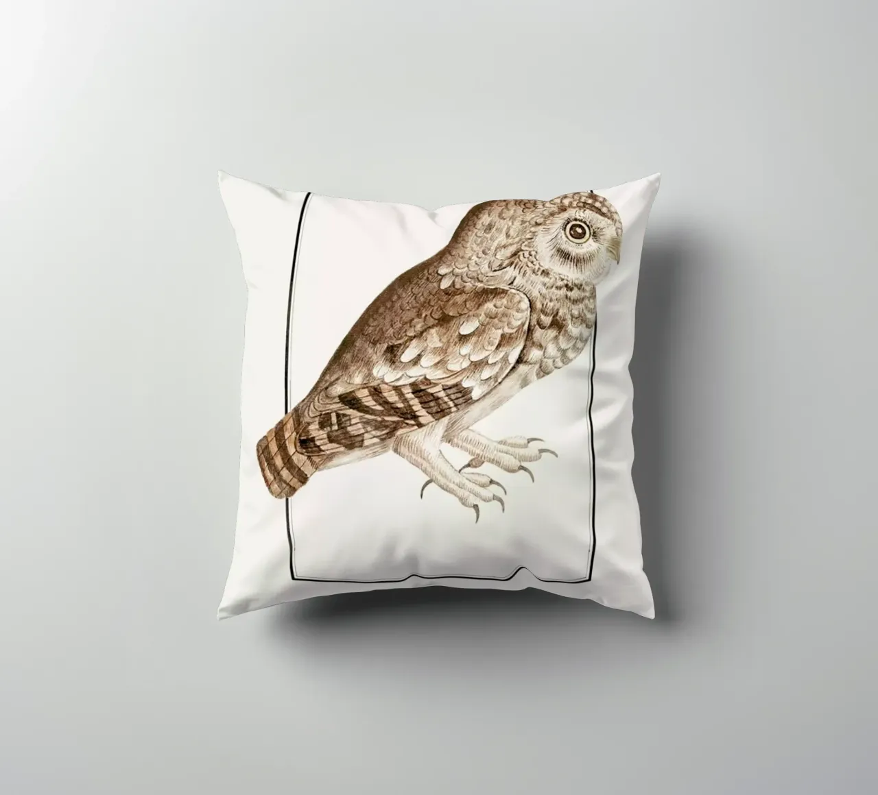 Anselmus Boëtius de Boodt - Little Owl cuscino da Vintage by JUNIQE