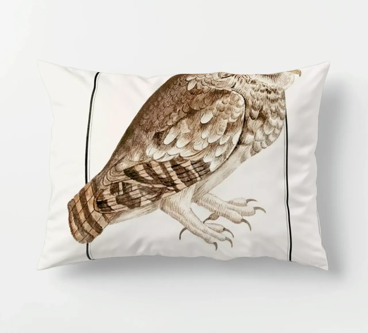 Anselmus Boëtius de Boodt - Little Owl cuscino da Vintage by JUNIQE