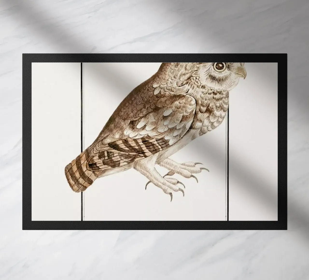 Anselmus Boëtius de Boodt - Little Owl zerbino da Vintage by JUNIQE