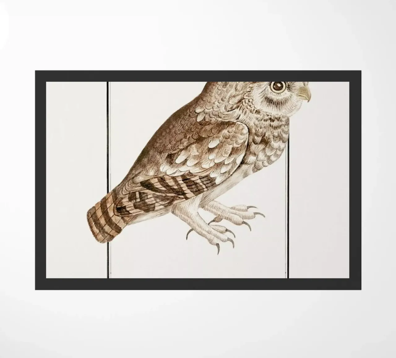 Anselmus Boëtius de Boodt - Little Owl zerbino da Vintage by JUNIQE
