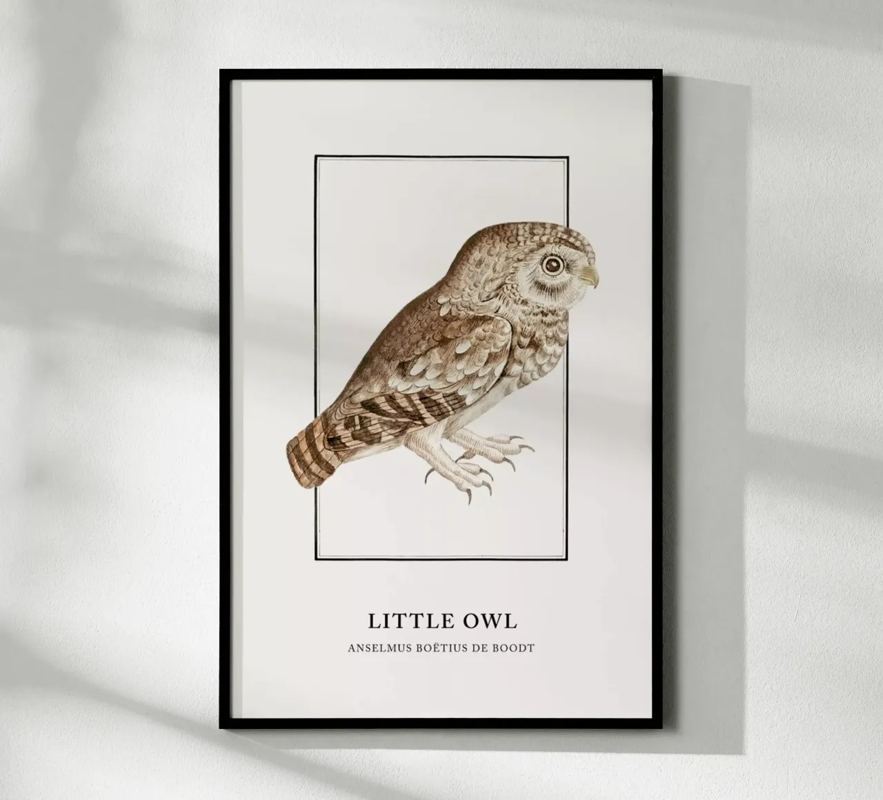 Anselmus Boëtius de Boodt - Little Owl poster con telaio in legno da Vintage by JUNIQE