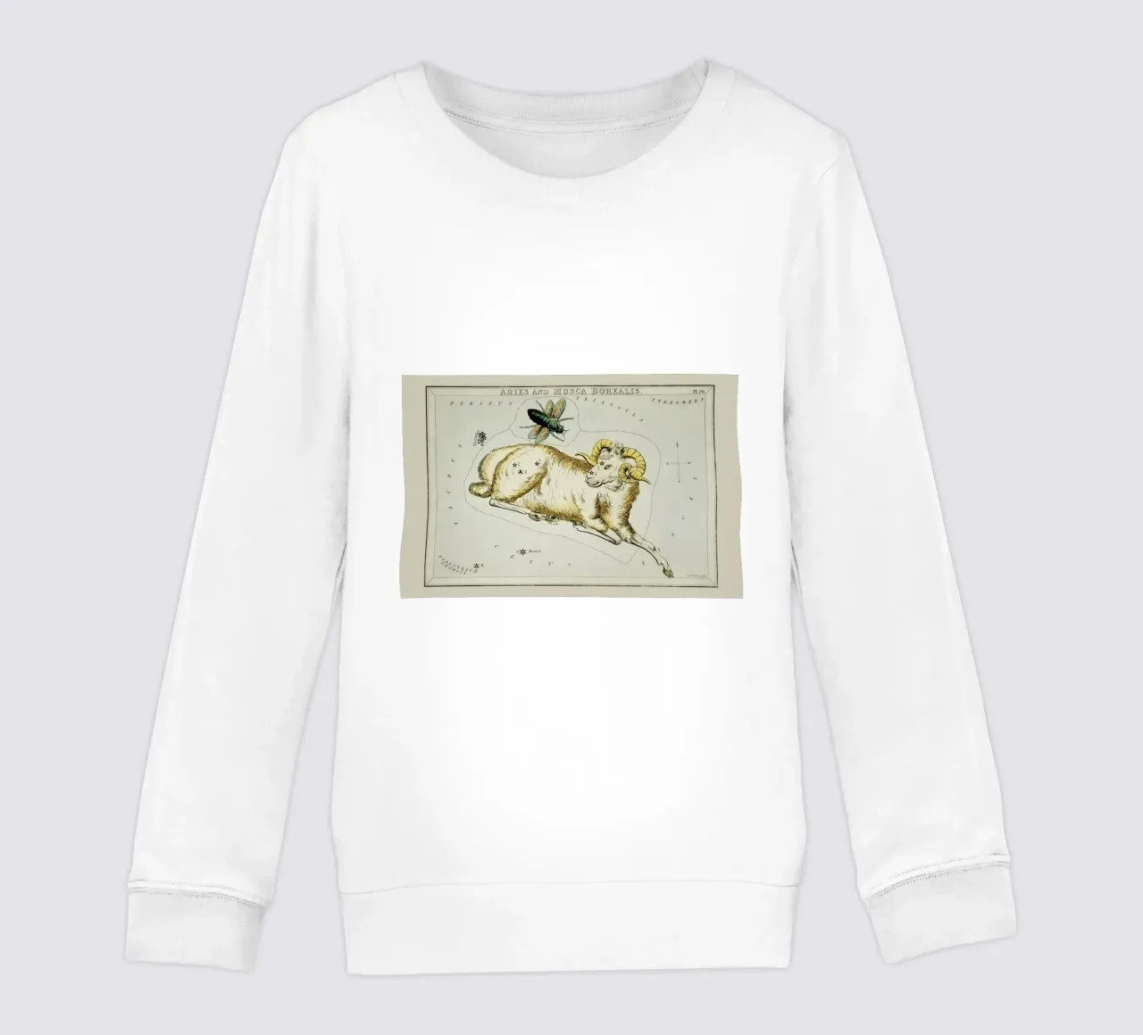 Aries felpa bambino da Vintage by JUNIQE