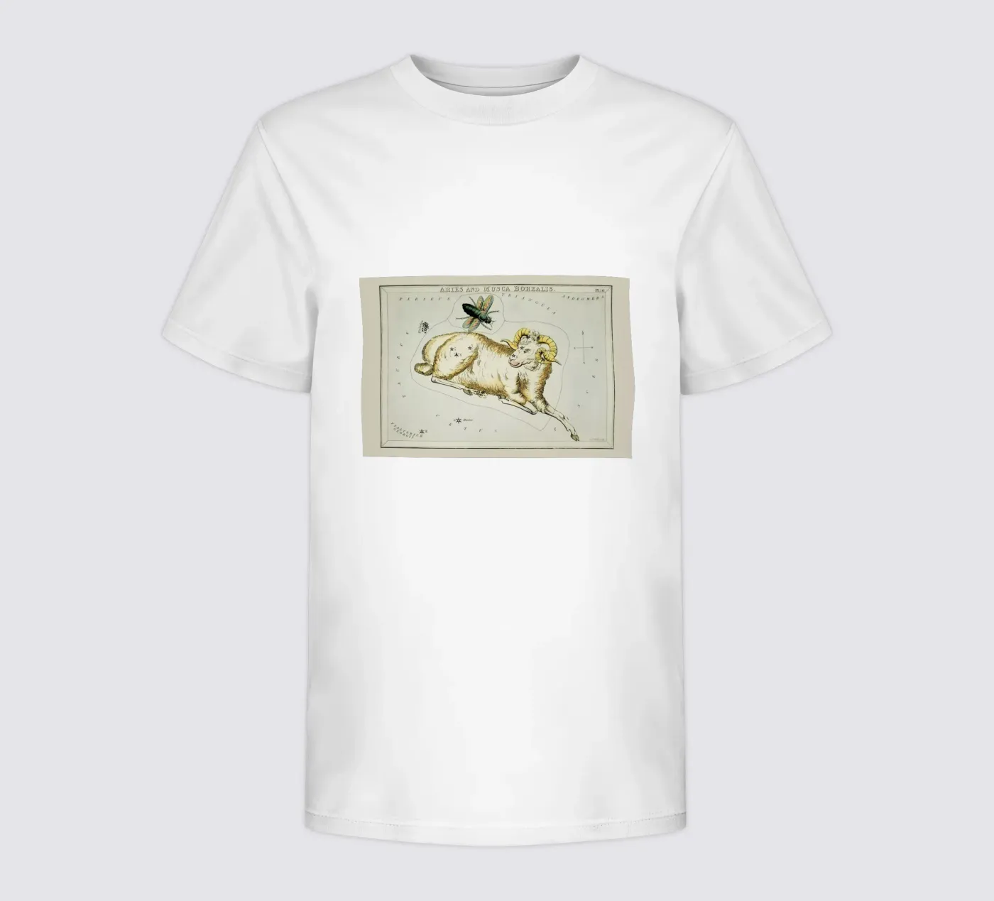 Aries kinder t-shirt van Vintage by JUNIQE